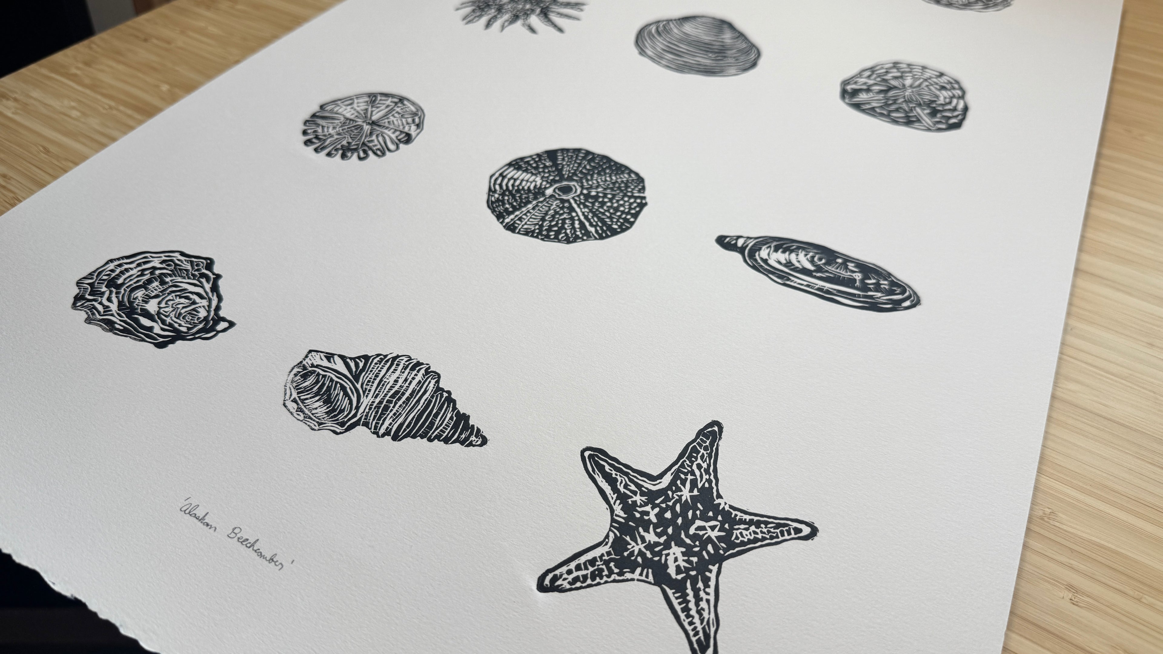 Alaskan Beachcomber - Print